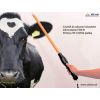 petscan RF-CNT82 pałka odczyt kolczyków u bydła